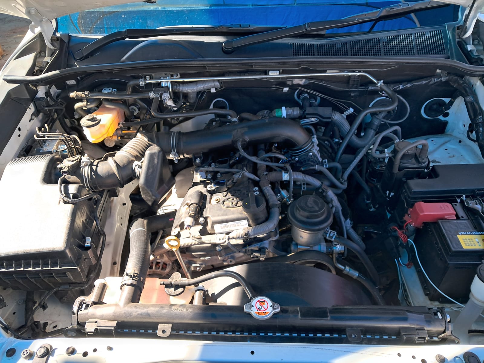 WhatsApp-Image-2024-10-30-at-06.32.26