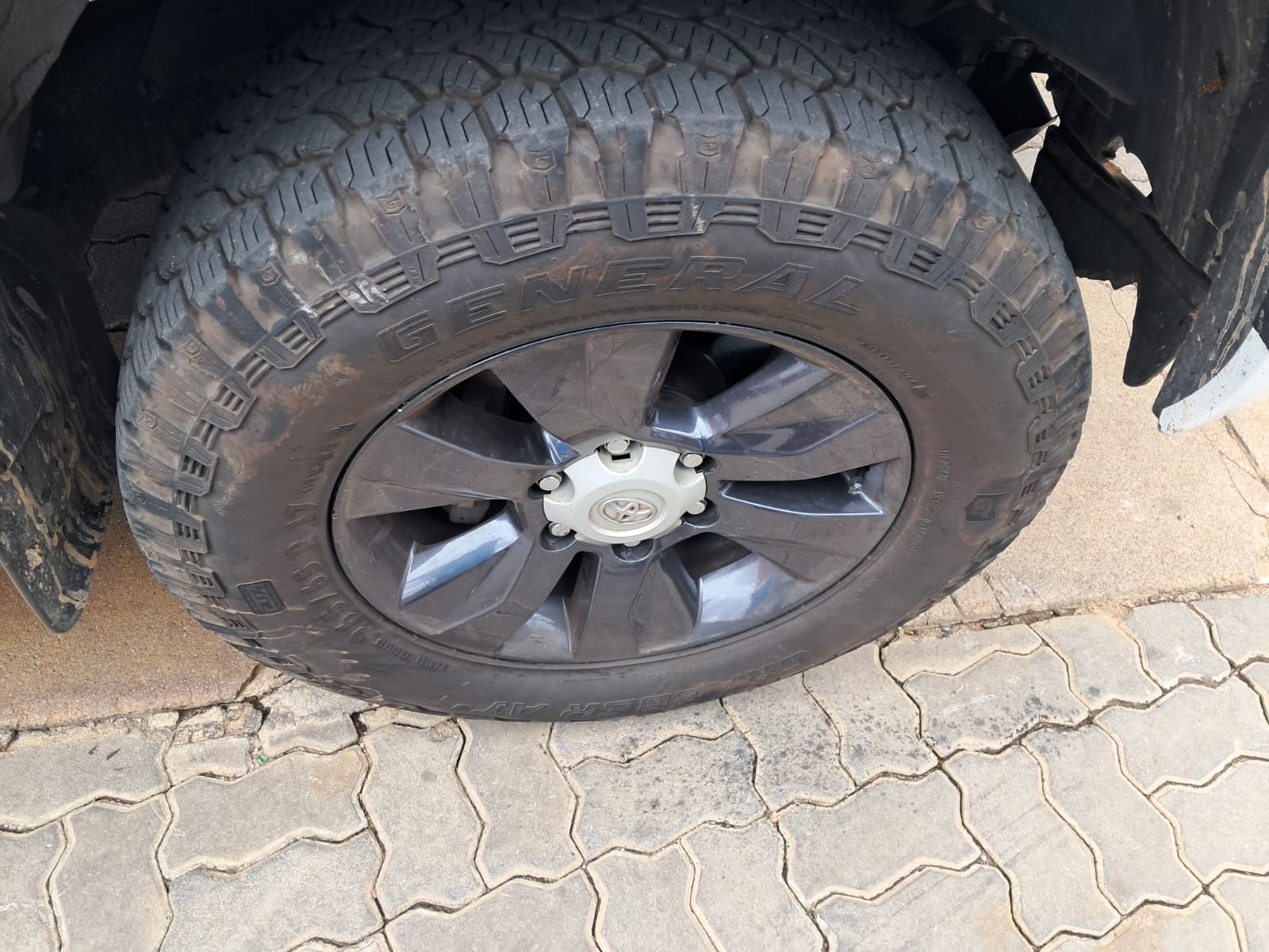 WhatsApp-Image-2026-02-24-at-13.05.14