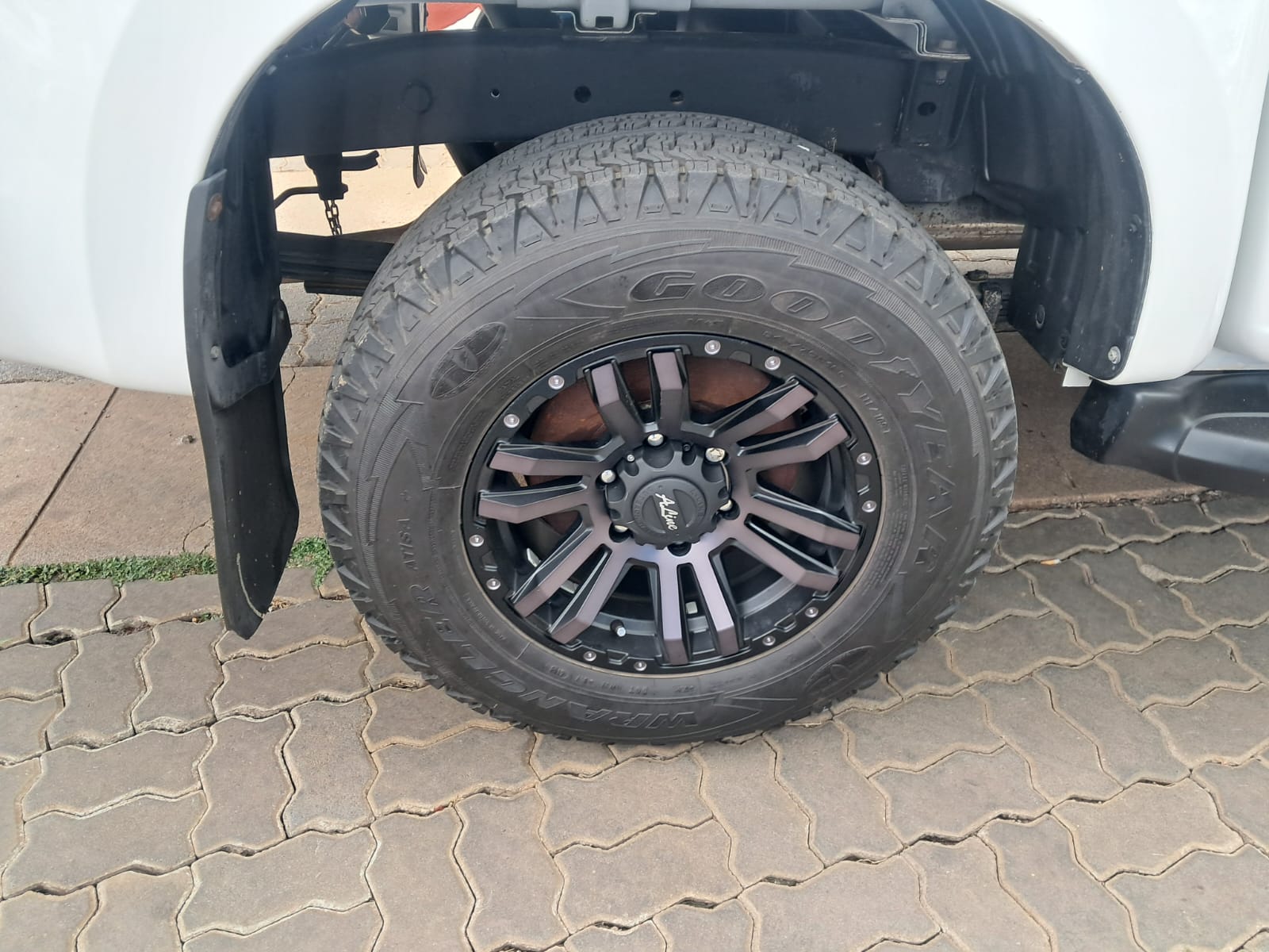 WhatsApp-Image-2026-02-24-at-16.28.21